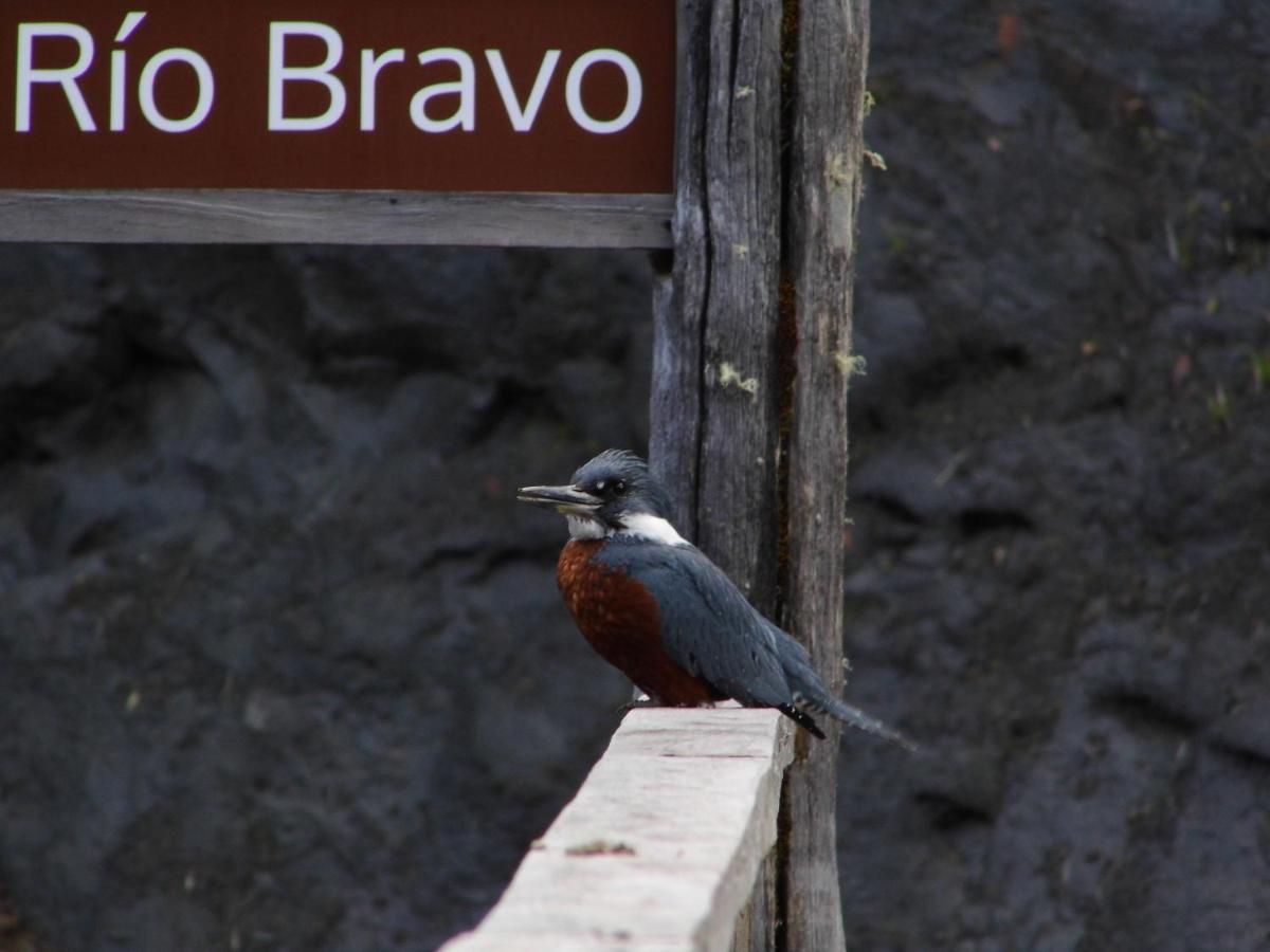 Lodge Parque Tepuhueico Castro Zewnętrze zdjęcie
