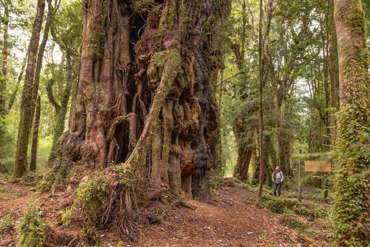 Lodge Parque Tepuhueico Castro Zewnętrze zdjęcie